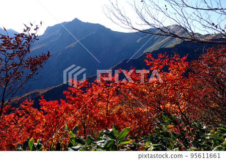 谷川岳登山路線的景色 95611661