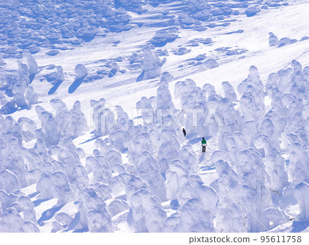 Tourists walking in frost covered trees (Mt. Zao, Yamagata Prefecture) 95611758