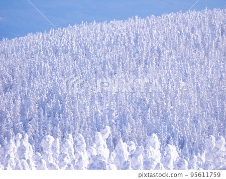 Overlooking the mountains covered with frost-covered trees (Mt. Zao, Yamagata Prefecture) 95611759