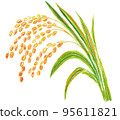 Hand-painted ears of rice with a gentle atmosphere 95611821