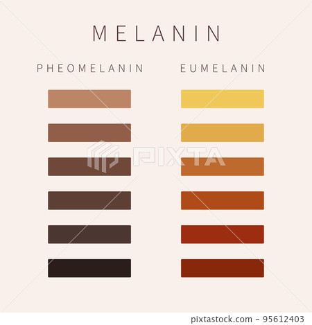 Melanin skin tone color palette scheme design Melanin skin tone color palette scheme design 95612403