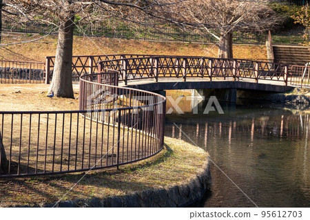 清爽的公園風光 95612703