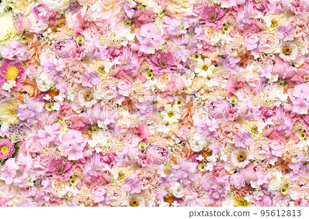 flower, bloom, blossom 95612813