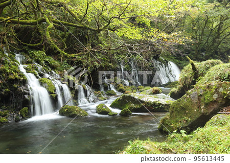 鳥海飛島地質公園[秋田縣二香穗市] 95613445