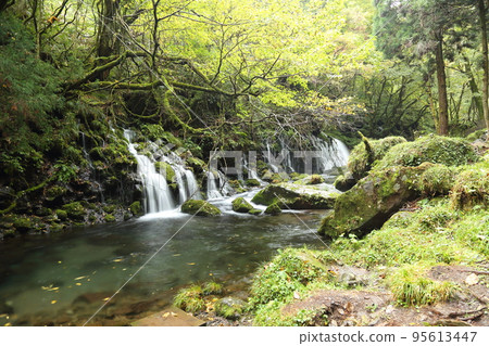 Mt. Chokai-Tobishima Geopark [Nikaho City, Akita Prefecture] 95613447