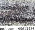 rough stone texture 95613526