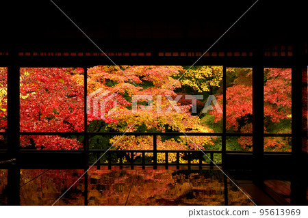 Rurikoin Temple in the rain Reflection of autumn leaves and sutra-copying desk in the second-floor study room Rurikoin Temple in the rain Reflection of autumn leaves and sutra-copying desk in the second-floor study room 95613969