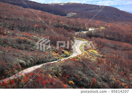 Bird sea blue line 95614207