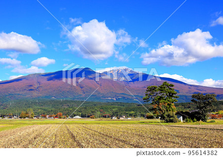 Autumn leaves of Shonai Plain and Mount Chokai Autumn leaves of Shonai Plain and Mount Chokai 95614382