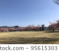 Park Kawazu Sakura 95615303