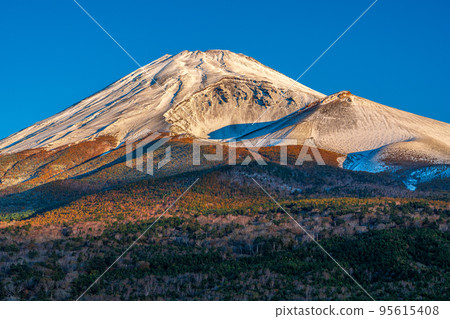 深秋的聖地富士山 95615408