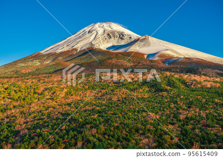 Fuji in late autumn from Mizugatsuka Park Fuji in late autumn from Mizugatsuka Park 95615409