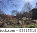 autumn leaves 95615519