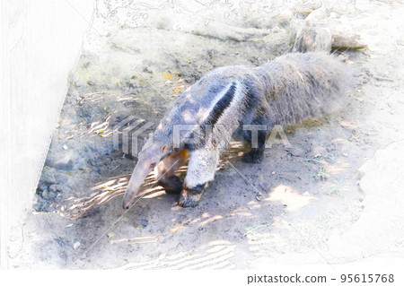 giant anteater in zoo 95615768
