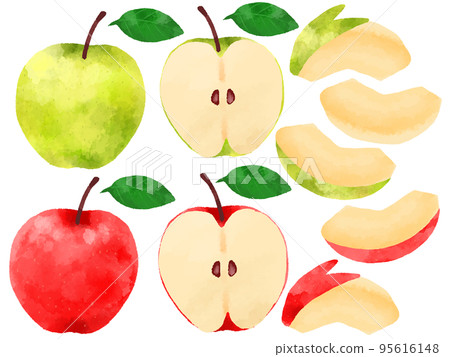 蘋果插畫手繪水彩風格 95616148