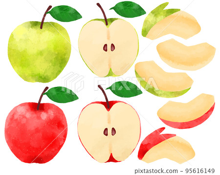 Apple illustration hand drawn watercolor style 95616149