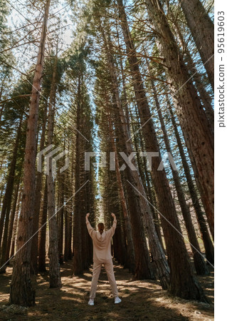 A girl in travels alone through the forest of high Sequoiadendron giganteum, rising into the sky on a sunny day. She is dressed in a beige tracksuit. 95619603