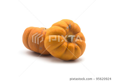 closeup of small pumpkins on white background 95620924