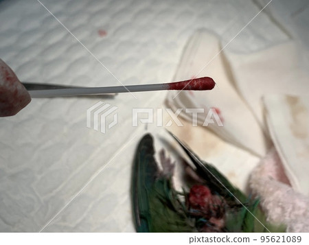 veterinary veterinary 95621089