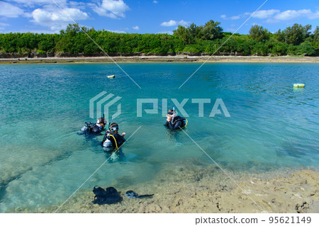 Diving course Diving course 95621149