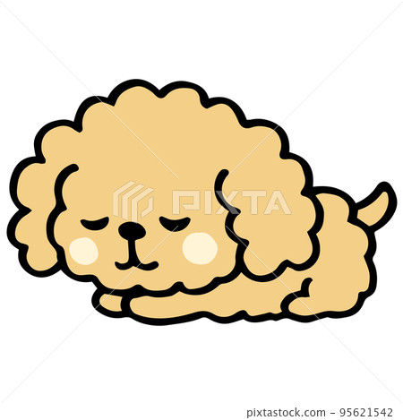 Loose hand-painted toy poodle sleeping pose Loose hand-painted toy poodle sleeping pose 95621542