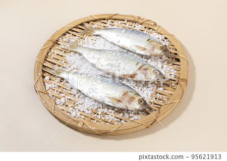 salt and gizzard shad fish 95621913