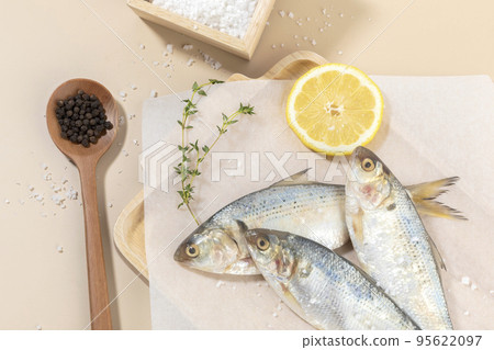 salt and gizzard shad fish 95622097