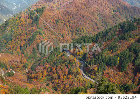 秋葉山路 95622194