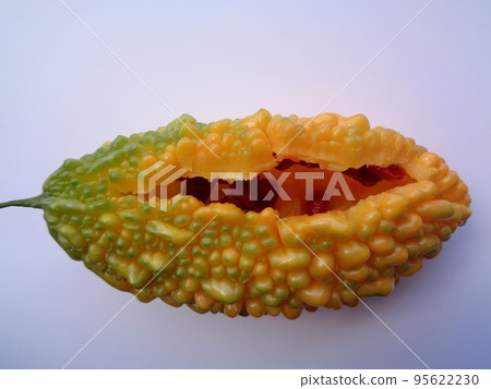yellow bitter gourd 95622230
