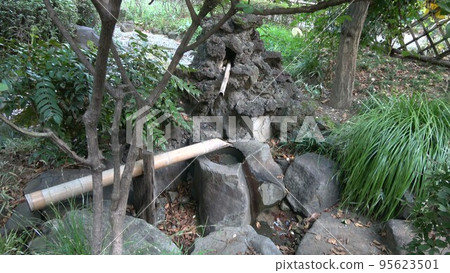 Landscape with garden of green trees and suikinkutsu 95623501