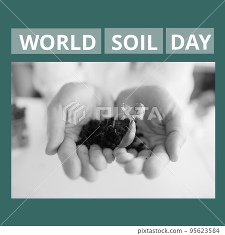 Square image of world soil day and hands of caucasian woman holding seedling in black and white Square image of world soil day and hands of caucasian woman holding seedling in black and white 95623584