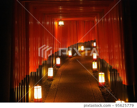 Fushimi Taisha Thousand Lanterns 95625779