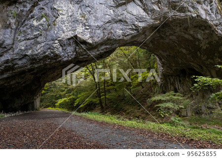 Teiji Gorge male bridge 95625855