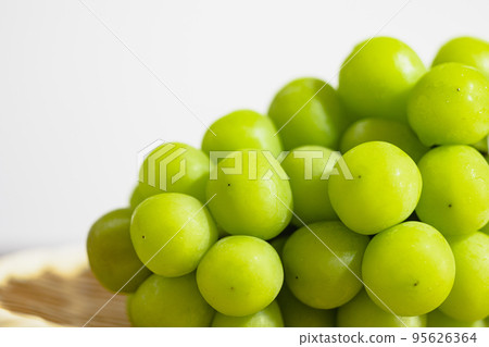Shy muscat served in a colander White background 95626364