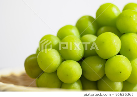 Shy muscat served in a colander White background 95626365