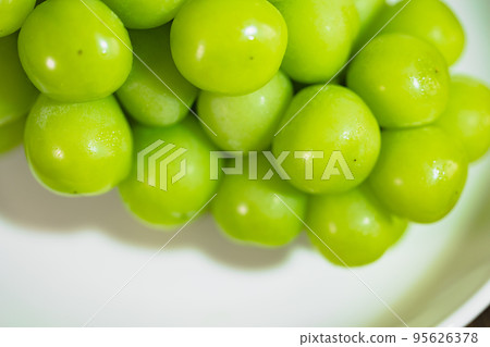 Shine Muscat served on a plate Shine Muscat served on a plate 95626378
