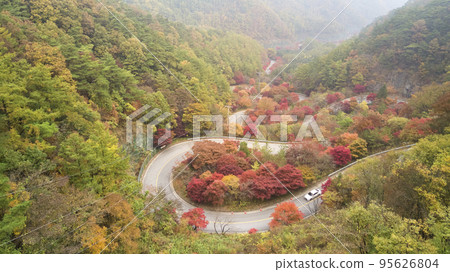 Curved Road, Road, Automobile, Bobaljae, Bobaljae Observatory, Eight Views of Danyang, Yeongchun-myeon, Danyang-gun, Chungbuk 95626804