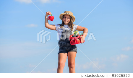 Harvest season. Child carry harvest. Buy organic food. Sunny day at farm. Vegetables in basket. Little helper concept. Ripe veggies. Family farm. Girl adorable child farming. Kid work at farm Harvest season. Child carry harvest. Buy organic food. Sunny day at farm. Vegetables in basket. Little helper concept. Ripe veggies. Family farm. Girl adorable child farming. Kid work at farm 95626833
