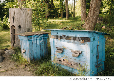 An old wooden alley stands in the forest. Bee houses are located on the green grass 95627539