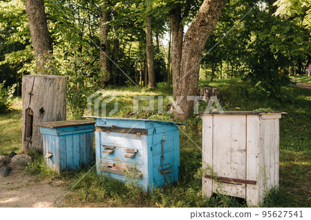 An old wooden alley stands in the forest. Bee houses are located on the green grass 95627541