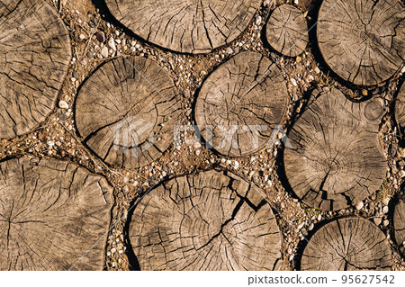 the old path is laid out of round wooden sections. Background of wooden sections of timber 95627542