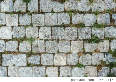 Paving stones and grass. 95629517