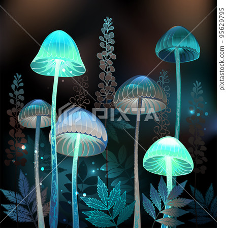 Night toadstools Night toadstools 95629795