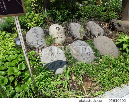 Nariko Tenjin Shrine (Shinjuku Ward, Tokyo) 95630603