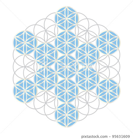 生命之果,在神聖幾何生命之花上畫的雪花 生命之果,在神聖幾何生命之花上畫的雪花 95631609