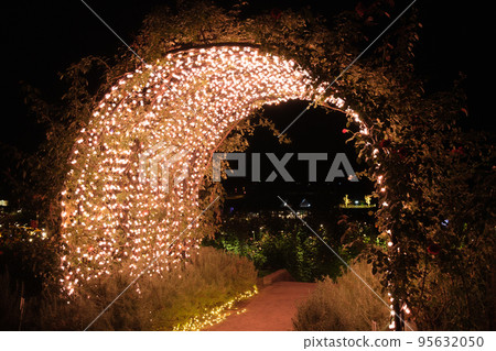 flower park light up autumn roses 95632050