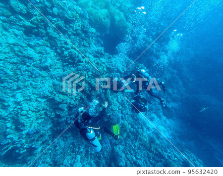 Scuba Divers swim in tropical sea at the coral reef in the Red Sea, Egypt.. Scuba Divers swim in tropical sea at the coral reef in the Red Sea, Egypt.. 95632420