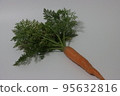carrot 95632816
