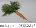carrot 95632817