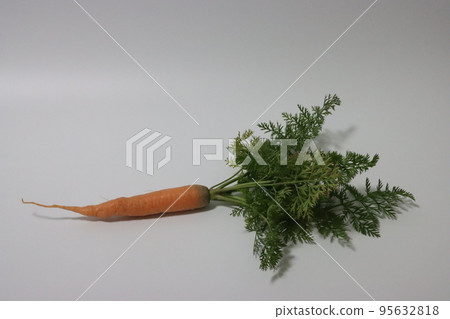 紅蘿蔔 95632818
